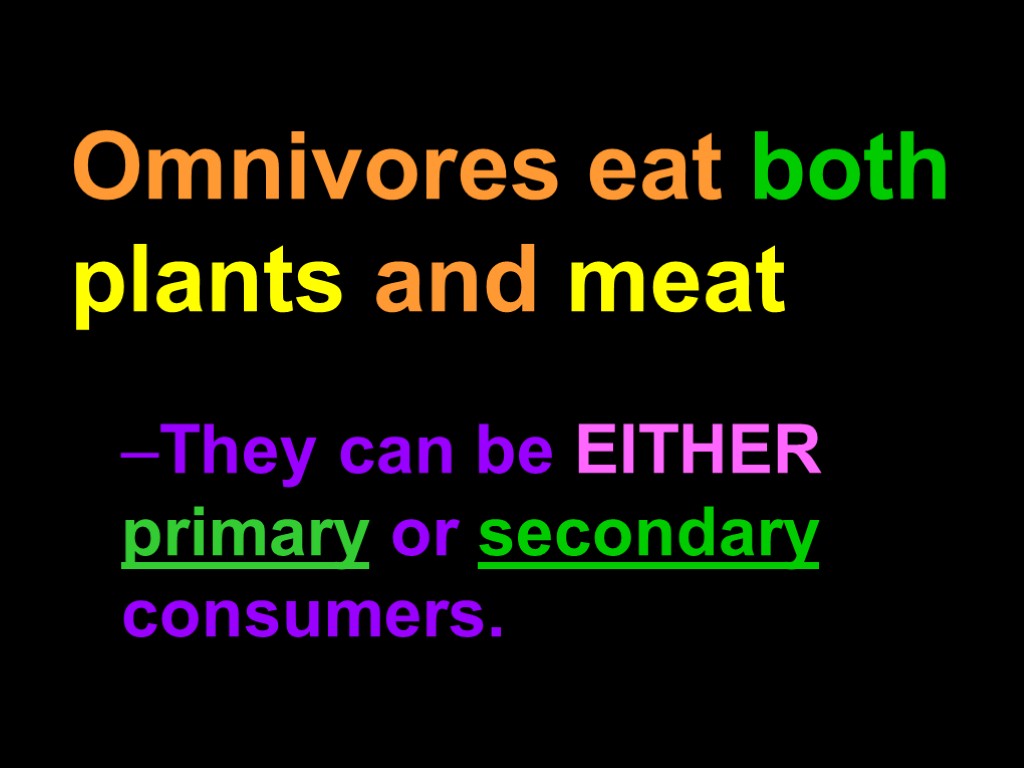 Omnivores eat both plants and meat They can be EITHER primary or secondary consumers.